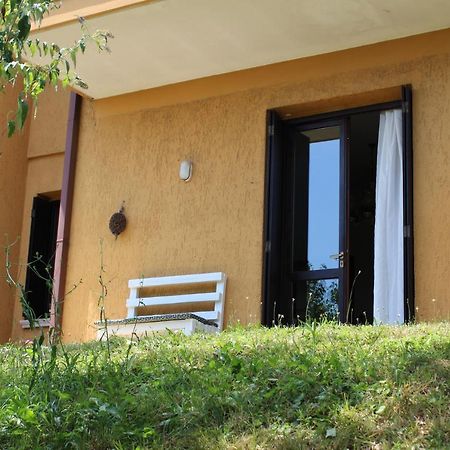 B&B Drusilla Garden Soiano Del Lago Exteriör bild